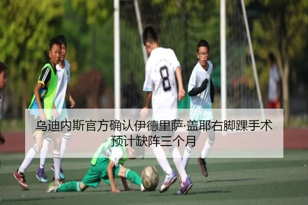 乌迪内斯官方确认伊德里萨·盖耶右脚踝手术 预计缺阵三个月